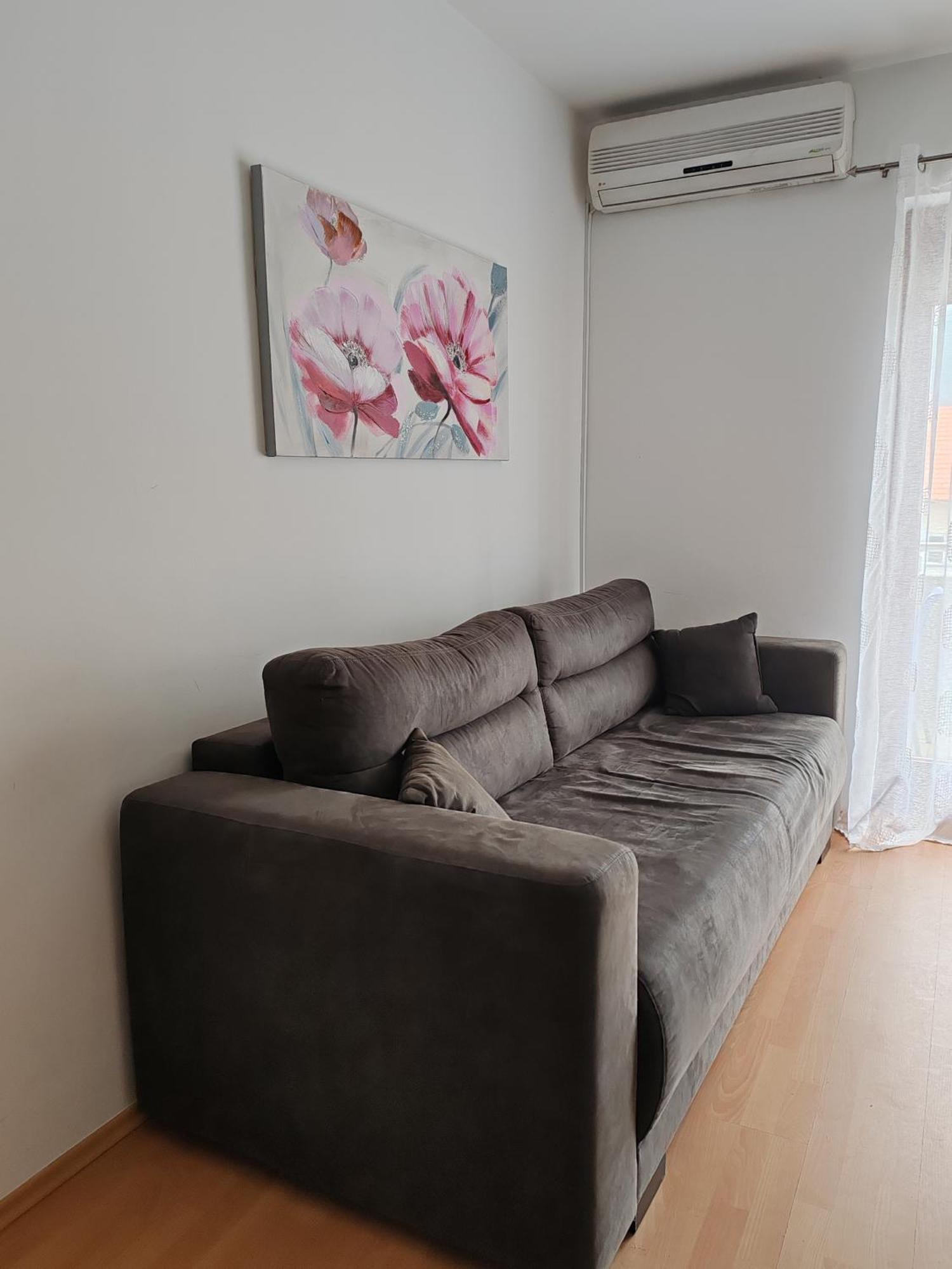 Apartmani Nana Sokobanja Kamer foto